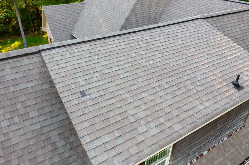 Asphalt Roof Inspection detail